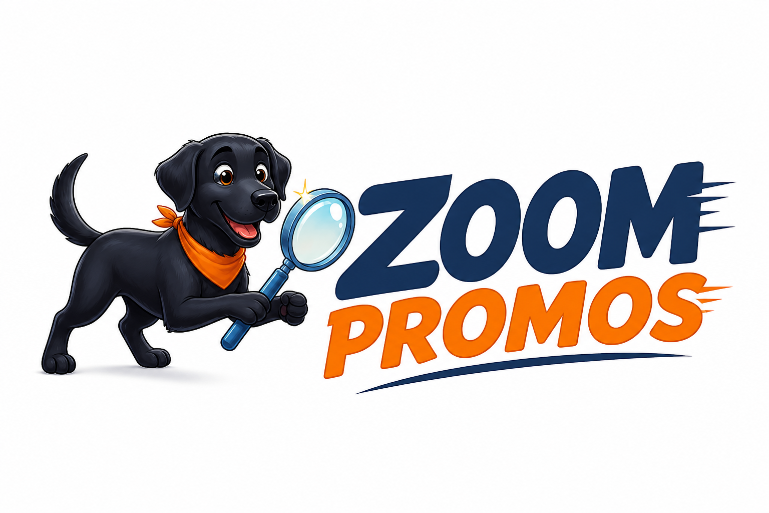 Zoom Promos